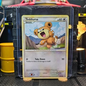 Teddiursa Unleashed Pokémon TCG 65/95 HeartGold & SoulSilver Common - Picture 1 of 6