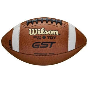 Wilson GST LEATHER TDY Youth Game Ball Ages 12-14 - Picture 1 of 3