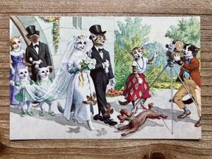 Mainzer Cats, Wedding Photographer, 4938, Hartung, Turkey, Vintage Postcard - Picture 1 of 2