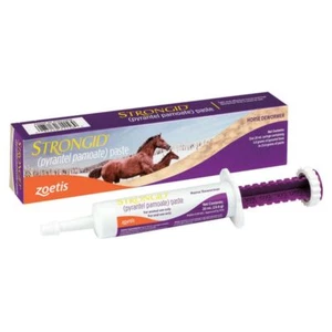 New! STRONGID HORSE PASTE 23.6 g For horses or foals One syringe - Picture 1 of 1