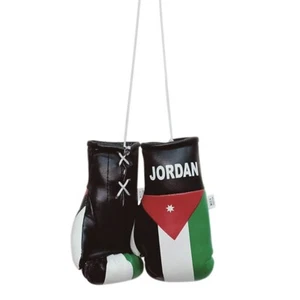 Jordan Boxing Glove / Jordan Flag / Mini Jordan Boxing Glove - Picture 1 of 3