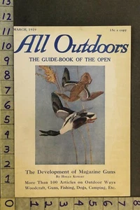 1919 NATUR TIER ENTE VOGEL STOCKENTE DRACHEN HENNE WASSERVÖGEL VINTAGE KUNST COVER VJ31 - Bild 1 von 1
