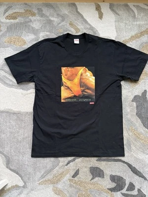 Supreme Butthole Surfers Tee Rembrandt Pussyhorse T-Shirt XL 100% Authentic - Image 1 of 4