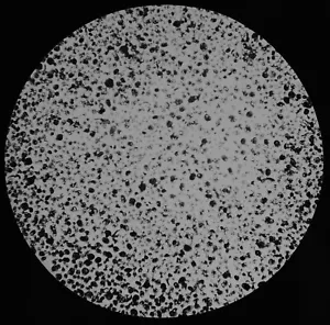 FORAMINIFERA AT 2900 FATHOMS 1894 OLD MICROSCOPE PHOTO Magic Lantern Slide - Picture 1 of 3