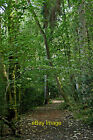 Photo 12X8 Woodland Track In Eymore Wood Near Upper Arley This Is The Nort C2021