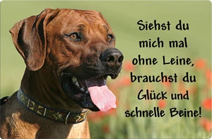 Rhodesian RIDGEBACK A4 Alu Warnschild Hundeschild SCHILD Türschild - RRB 31 T12 - Bild 1 von 2