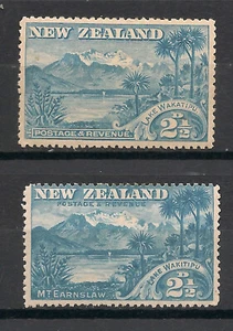 Estampillas de Nueva Zelanda 1898 21/2d azul Wakatipu + versiones Wakitipu como nuevas montadas - Imagen 1 de 1