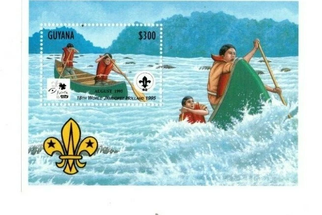 Guyana - 1995 - Boy Scouts - Hoja de recuerdo - MNH Foto 1 de 1
