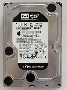 WD1001FFALS-403AA0, DCM: HARNNTJAAB, JUN 2011, Western Digital 1Tb 3.5" Sata HDD - Foto 1 di 2