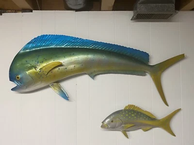 Meia montagem Mahi Mahi 40" - Imagem 1 de 3