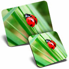 Mouse Mat & Coaster Set - Ladybird Insect Bug Green  #14290
