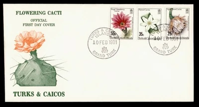 COMBO DE CACHÉ DE FLORES DE CACTUS DR WHO 1981 ISLAS TURCAS Y CAICOS FDC J80800 Foto 1 de 2