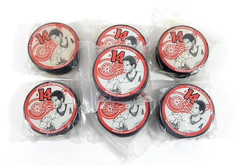 Lot of (7) Brendan Shanahan #14 Detroit Red Wings Hockeytown Hockey Pucks Cover