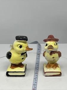 Salz & Pfeffer Enten Japan anthropomorph ungereinigt. Echtfellfedern - Bild 1 von 9