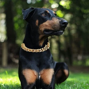 Pet Supplies Dog Accessories Metal Collar Necklace Pet Chain Dog Jewelry - Picture 1 of 15