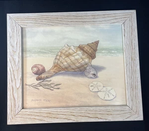Stampa spiaggia costiera conchiglie Barbara Fleri oceano nautica incorniciata 10" x 12" - Foto 1 di 8