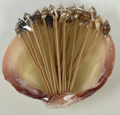 Vtg Clam Sea Shell Toothpicks Appetizer Tiki Beach Party Cocktail Skewer Picks - Image 1 of 4