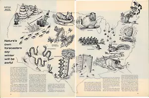 1970 LIFE Magazine Parting Shots Weather Forecaster Vintage Illustration Article - Picture 1 of 3