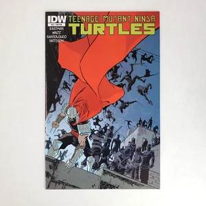 Cómic Teenage Mutant Ninja Turtles #22 RI Declan Shalvey portada variante IDW - Imagen 1 de 15