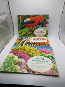 Álbumes de té Brooke Bond x 3 flores silvestres, aves tropicales, vida silvestre africana - Imagen 1 de 7