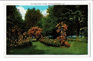 CPA - Carte postale-USA- Williamsport (Pennsylvanie) --Brandon Park- S2894 - Picture 1 of 2