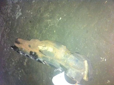 09 10 JAGUAR XF RIGHT EXHAUST MANIFOLD 4.2 LITER 8 CYLINDER - Image 1 of 4