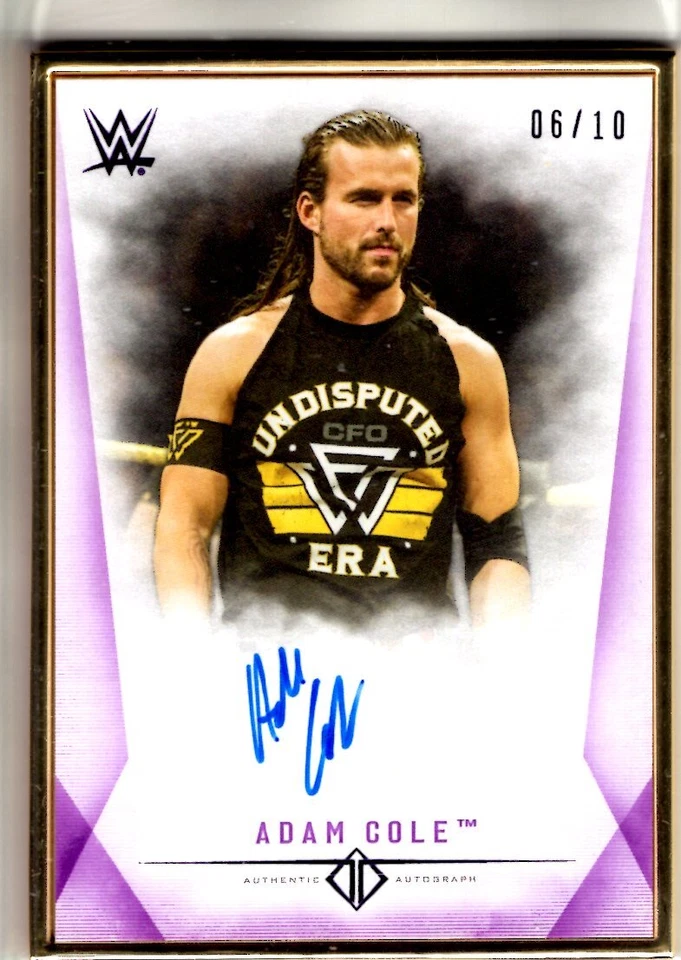 2019 Topps WWE Transcendent Auto ADAM COLE Gold Framed 06/10 AUTOGRAPH Purple SP - Image 1 of 1