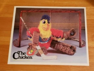 1982 The San Diego Chicken Hockey Goalie Promo Photo - Picture 1 of 2