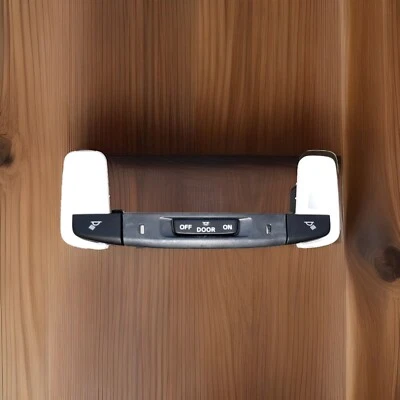 2023-2024 ACURA INTEGRA TECHO TECHO CÚPULA LUZ LECTURA MAPA LÁMPARA INTERRUPTOR OEM Foto 1 de 4