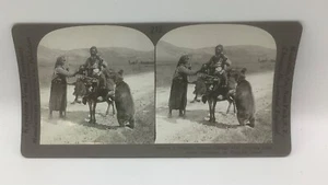 Keystone Stereoview- Circus Troupe w/ Dancing Bear on Turkish Road  V24112 212 - Bild 1 von 2