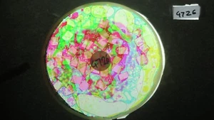 BUBBLE VISION oil wheel with SQUARES+BEADS optikinetics projector solar 250,AURA - Afbeelding 1 van 1