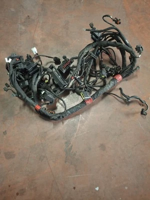 Impianto Elettrico Ducati Hypermotard SP939 Anno 2012 Foto 1 de 2