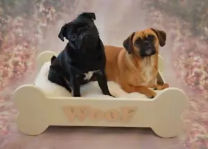 Wooden Dog Bed MDF Personalised with or without Cushion - Picture 1 of 6