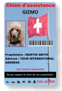 Servicio/Apoyo Emocional Manipulador de Perros Tarjeta de Identificación ANUNCIO INTERNACIONAL cualquier país - Imagen 1 de 3
