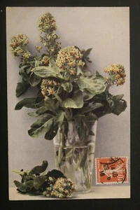 Carte Postale Ancienne 1910 FANTAISIE Fleurs - Picture 1 of 1