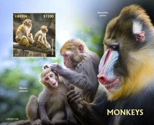 Liberia Wild Animals Stamps 2020 MNH Monkeys Macaques Mandrill Fauna 1v S/S - Picture 1 of 1