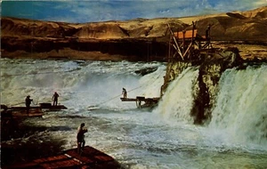 POSTCARD INDIANS FISHING FOR SALMON CELILO FALLS OREGON - Picture 1 of 2