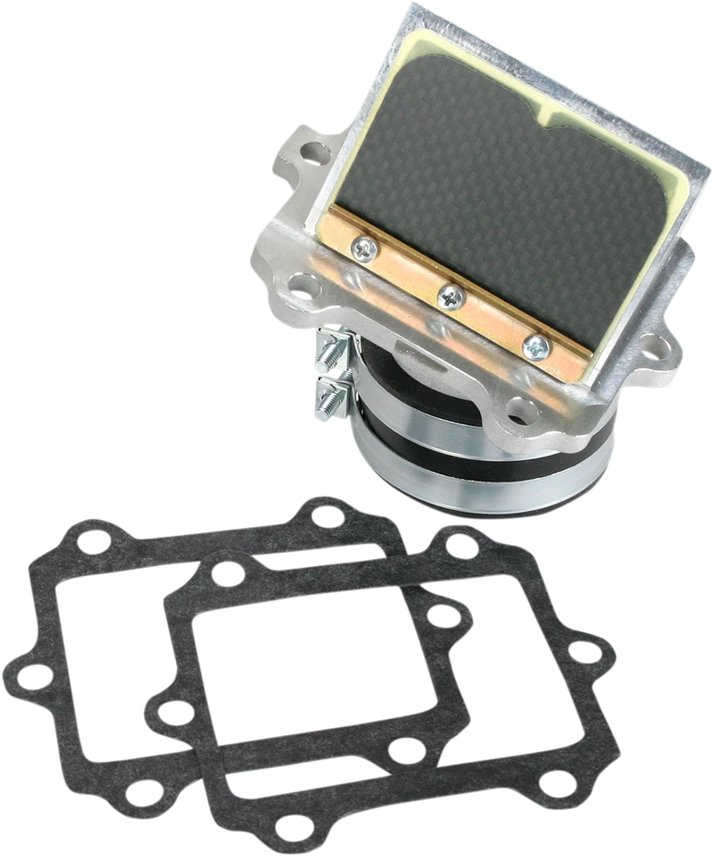 Conjunto de jaula de caña de válvula de rueda BOYESEN RAD-24 - Suzuki Foto 1 de 1