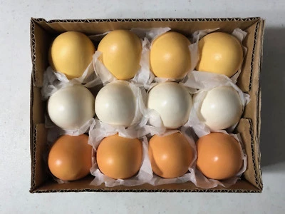 Artificial Country Chicken Eggs, 1 Dozen 2 Colors or 3 Colors Farmhouse Fake Egg - Image 1 of 2