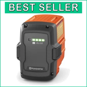 Long-Lasting 40V Lithium Ion Battery for Reliable Power Tool Performance - Picture 1 of 9
