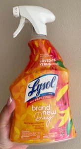 Lysol All-Purpose Cleaner Sanitizing and Disinfecting Spray Deodorize 32 Fl Oz - Picture 1 of 1