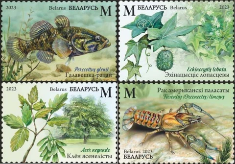 Belarus 2023 Mi BY 1504-7 - Invasive species flora fauna - 4v set MNH ** Cover