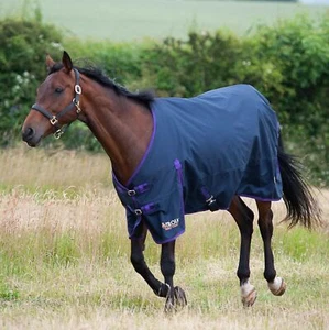 GALLOP TROJAN LITE 0g No Fill Standard Neck Light Weight Turnout Horse Rug - Picture 1 of 4