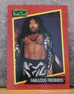 WRESTLING CARD WCW FABULOUS FREEBIRDS MICHAEL P.S. HAYES & JIMMY JAM GARVIN #124 - Picture 1 of 2