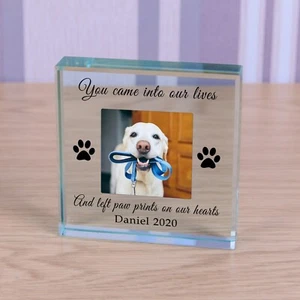 Paw Prints - Personalised Pet Dog Cat Photo Glass Block Ornament Gift 9cm - Picture 1 of 2