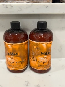 WEN FALL GINGER PUMPKIN CLEANSING CONDITIONER 16 OZ X 2 NEW & SEALED - Picture 1 of 7