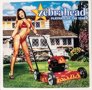 ZEBRAHEAD PLAYMATE OF THE YEAR Album Cover Promo 12x12 Flat Double Sided Poster - Picture 1 of 3