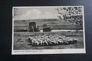 AK Germete Warburg Fluß Schaafherde ca 1930er - Bild 1 von 2