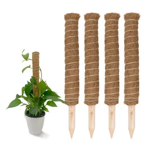 Kokos Rankstab 40 cm natur - 4 Stück - Holz Rank Kletter Hilfe Zimmer Pflanzen - Bild 1 von 4