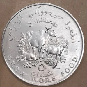 *TRIU* SOMALIA 5 SHILLINGS 1970 F.A.O. nickel coin - Picture 1 of 2